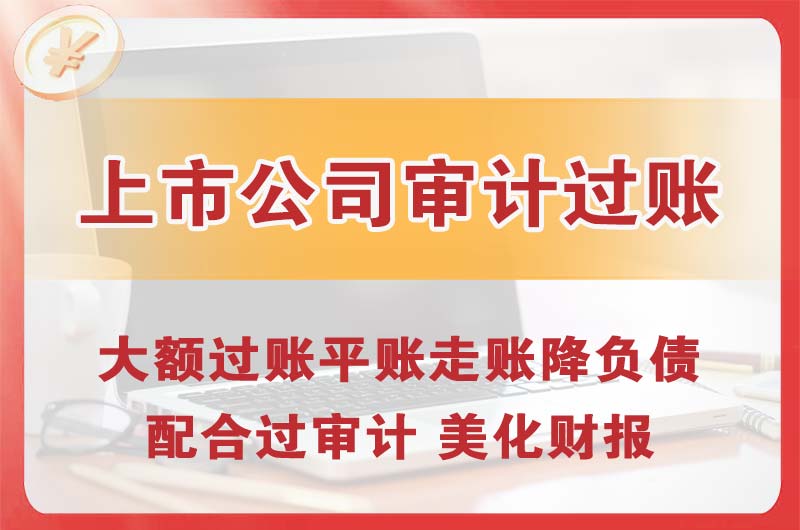 凌海上市公司审计过账
